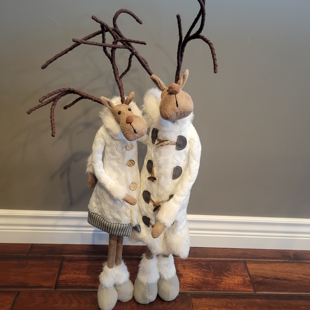 Moose couple